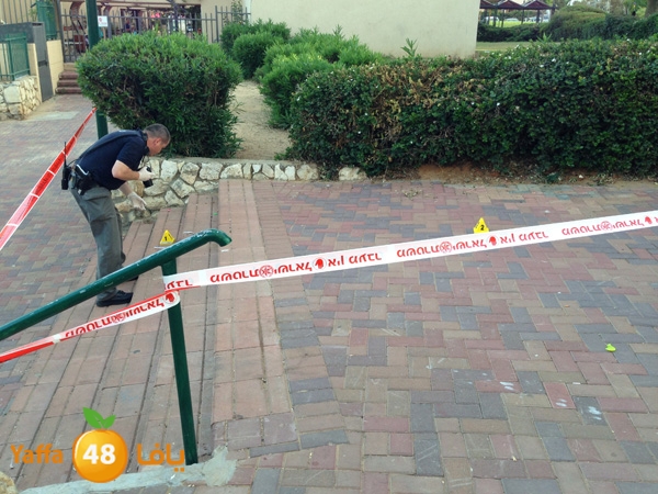 ta3nn601bayara (3).JPG